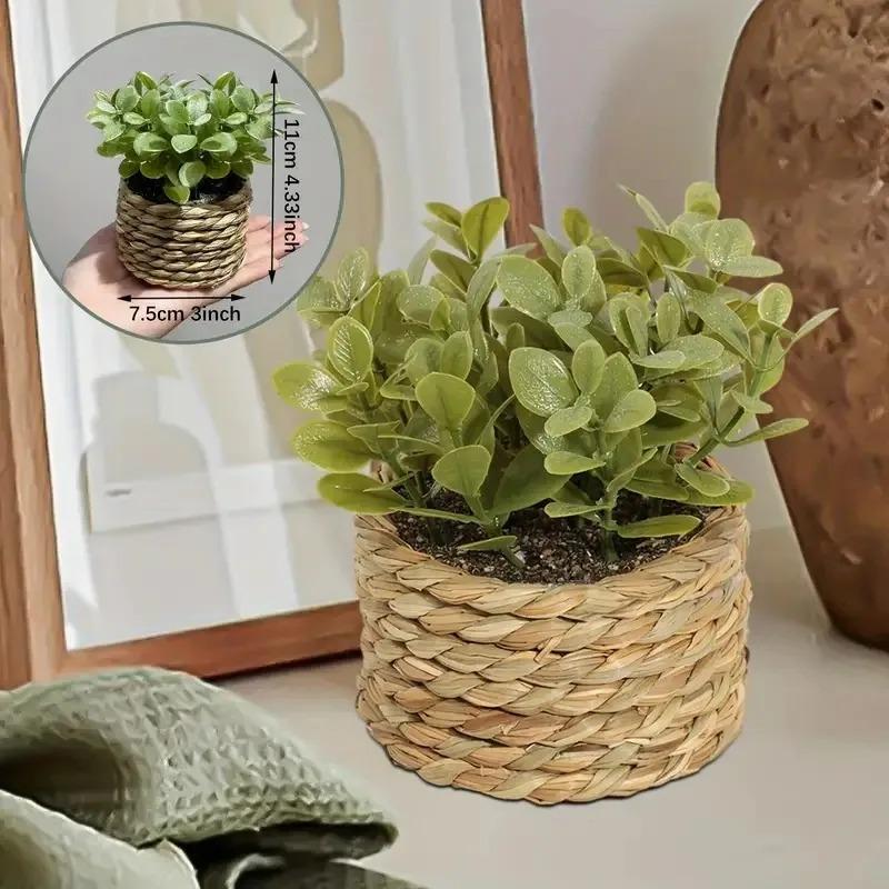 1pc vaso de plantas pequenas p - Home Office Layout avaliação e preço