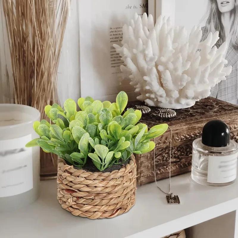 1pc vaso de plantas pequenas p - Home Office Layout avaliação e preço